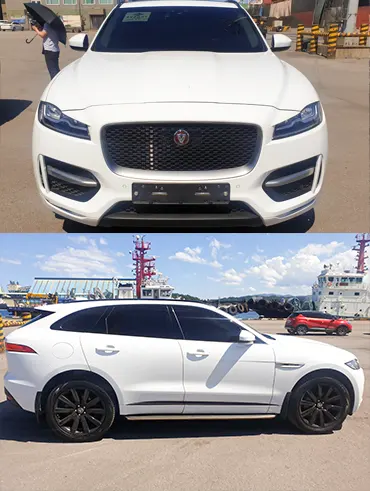 Jaguar 2018 /06